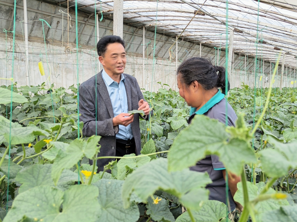 新闻周刊丨大学归来，扎根田间，争当头雁！返乡高管土专家，镀金升级新农人