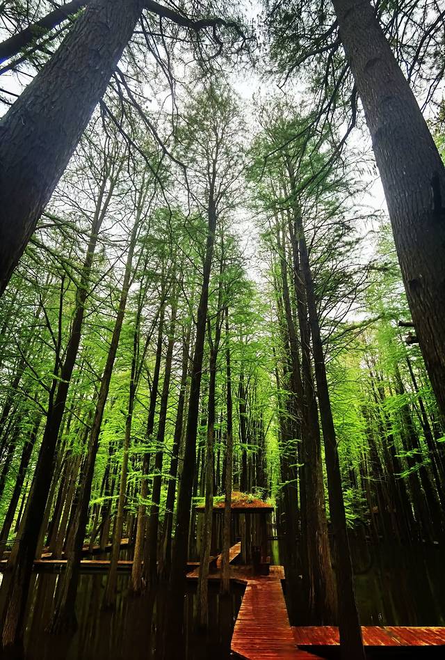 苏中自驾游‖这座城存下了我的一份醉心