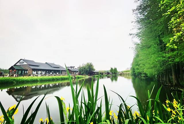 苏中自驾游‖这座城存下了我的一份醉心