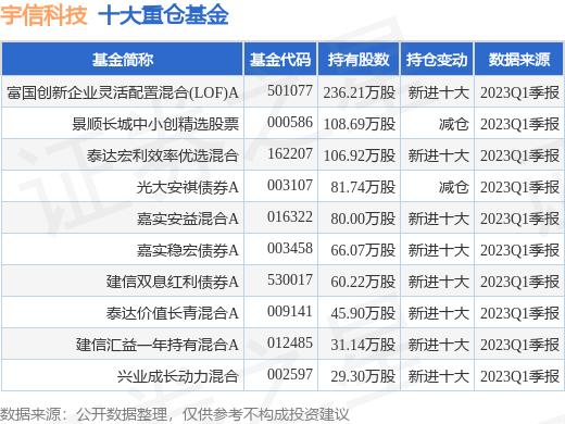 宇信科技股票千股千评,宇信科技多少个涨停预测