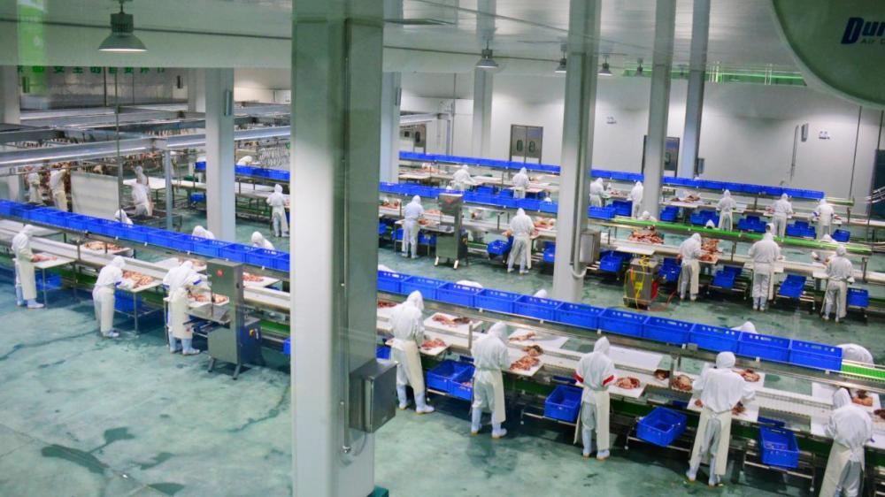 缈佺墰鐗规棗缁忔祹鎺掑悕,缈佺墰鐗规棗缁忔祹鍙戝睍