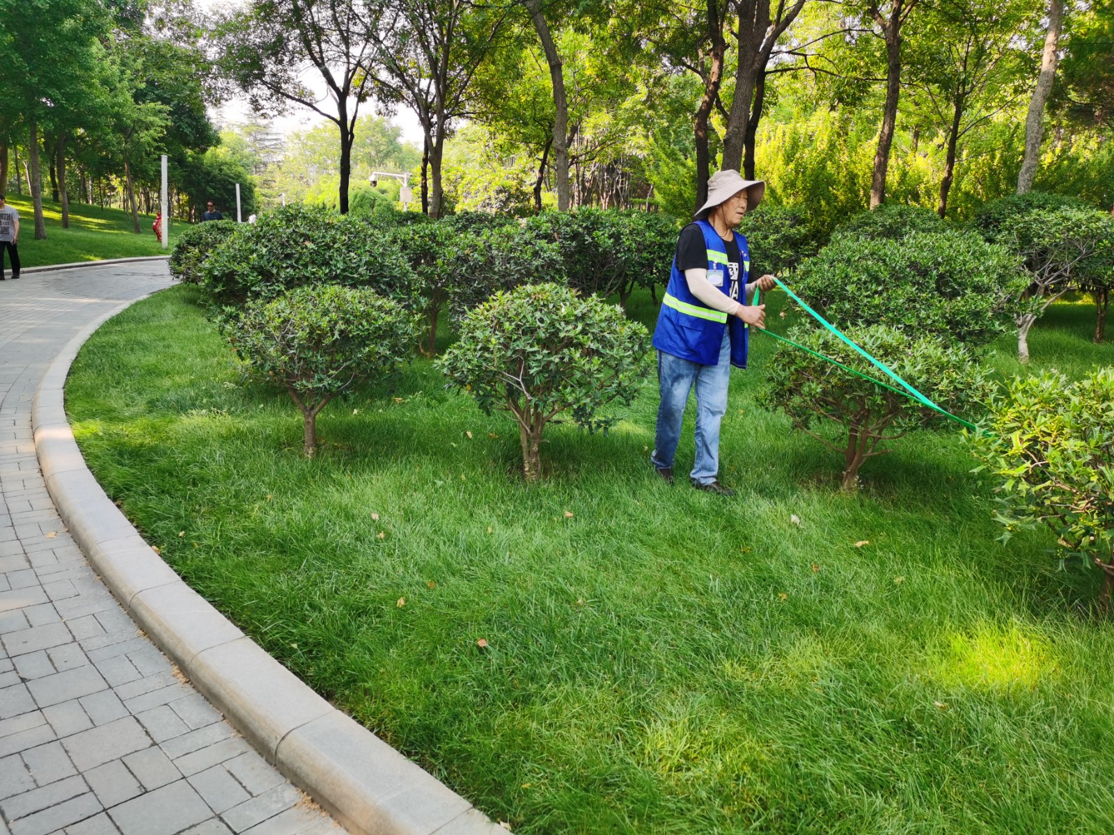 你还没有来过郑州之林?这座空气清新负氧离子爆棚的城市公园值得你来美景打卡