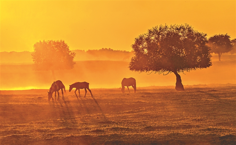 哈洽时间｜逊克打造祖国北陲“兴业富民”新家园
