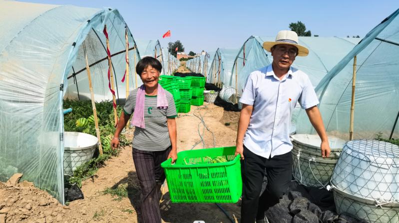 安阳示范区三大主导产业,安阳市各区产业布局