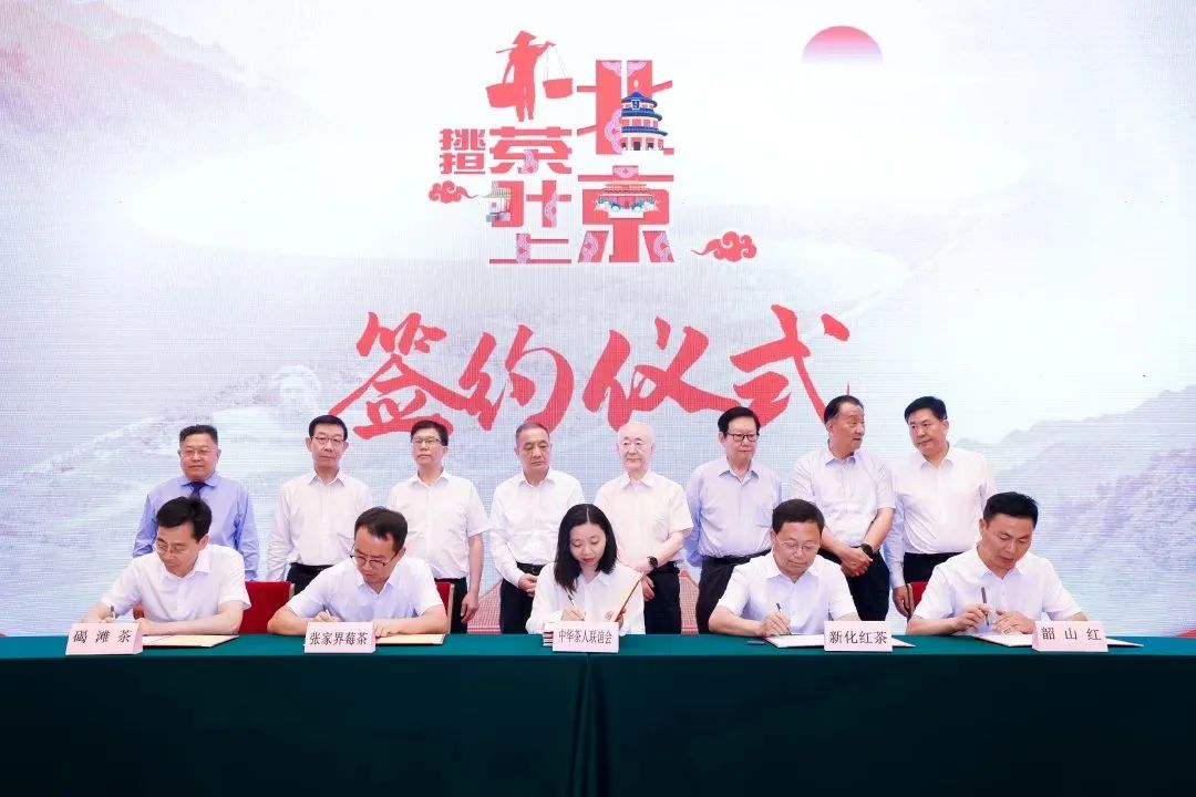 张家界莓茶被评为中国好茶叶,张家界莓茶算什么档次茶叶