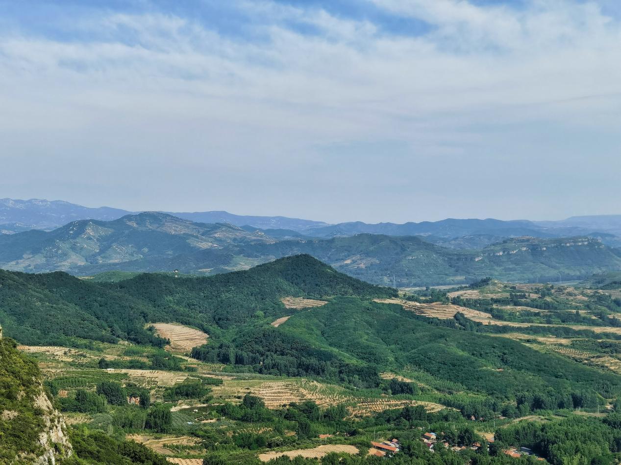 东方普罗旺斯薰衣草,东方普罗旺斯薰衣草庄园