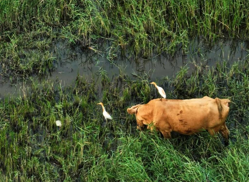 周末到河北畅游大美燕赵,周末走进河北