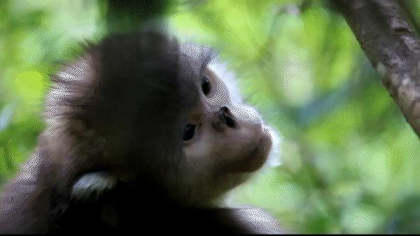 有一种叫云南的旅行,有一种旅行叫云南之旅