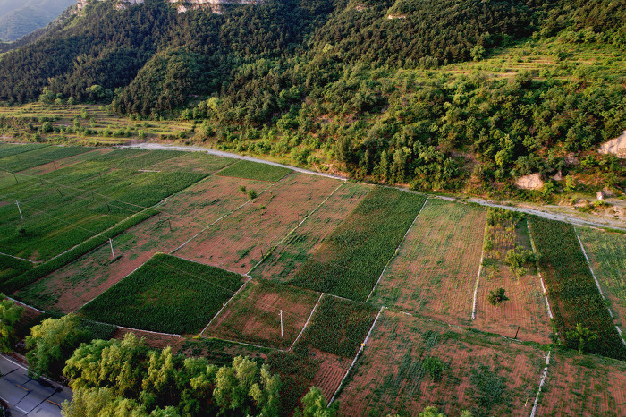 阳城县河道治理工程,阳城县后河巷河道治理