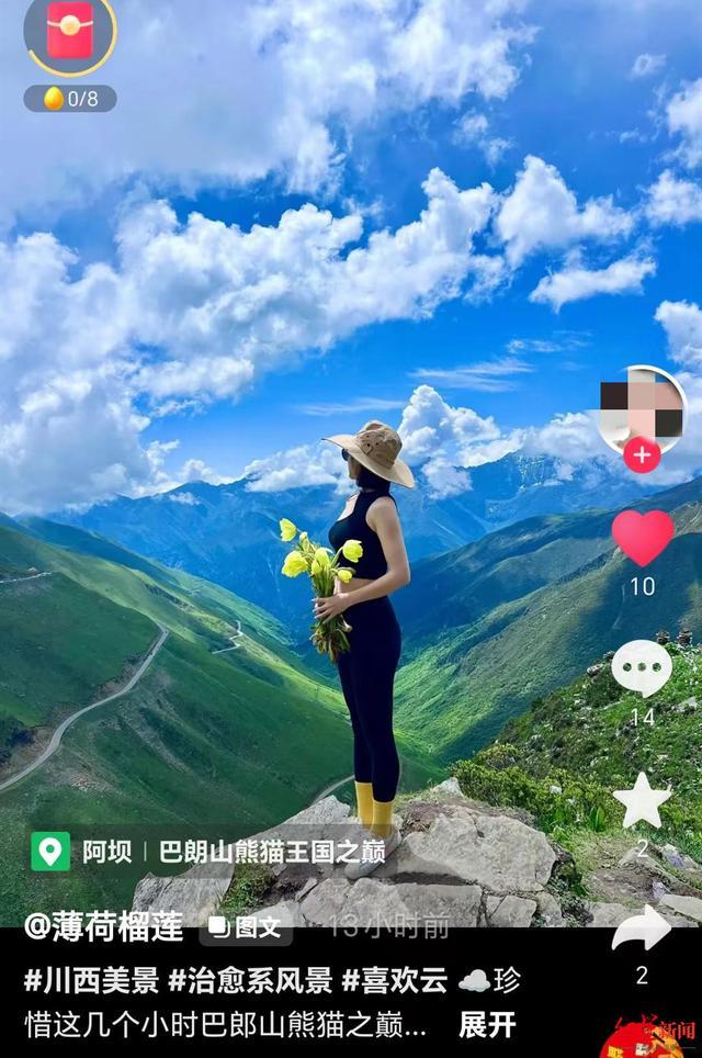 女游客闯巴朗山采绿绒蒿拍照,女游客在巴朗山采绿绒蒿