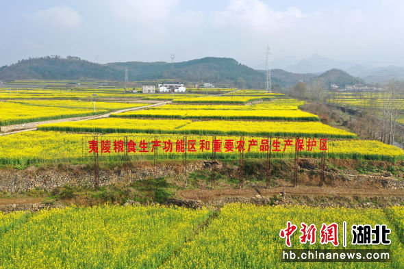 推动各类资源节约集约利用,钟祥市自然资源节约集约利用