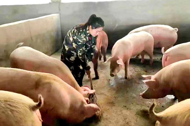 昌宁：“小”*款贷**助圆“大”梦想