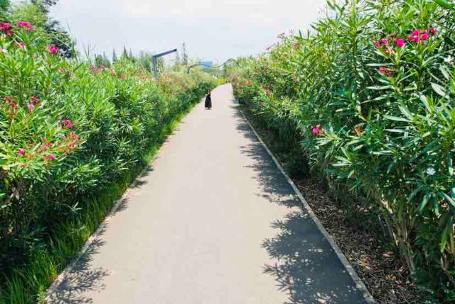 在云南有一种旅行叫做风景在路上,昆明适合一个人静静的小众打卡地