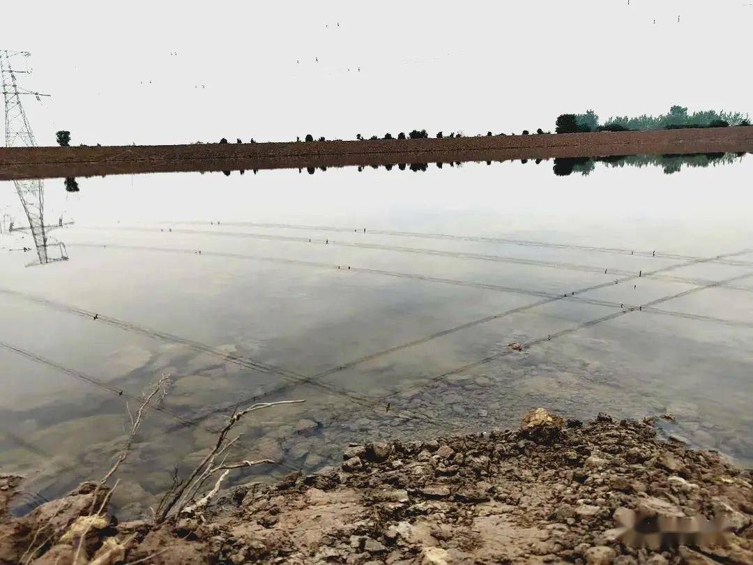 永久基本农田挖鱼塘违法吗,乱占耕地挖鱼塘最新规定