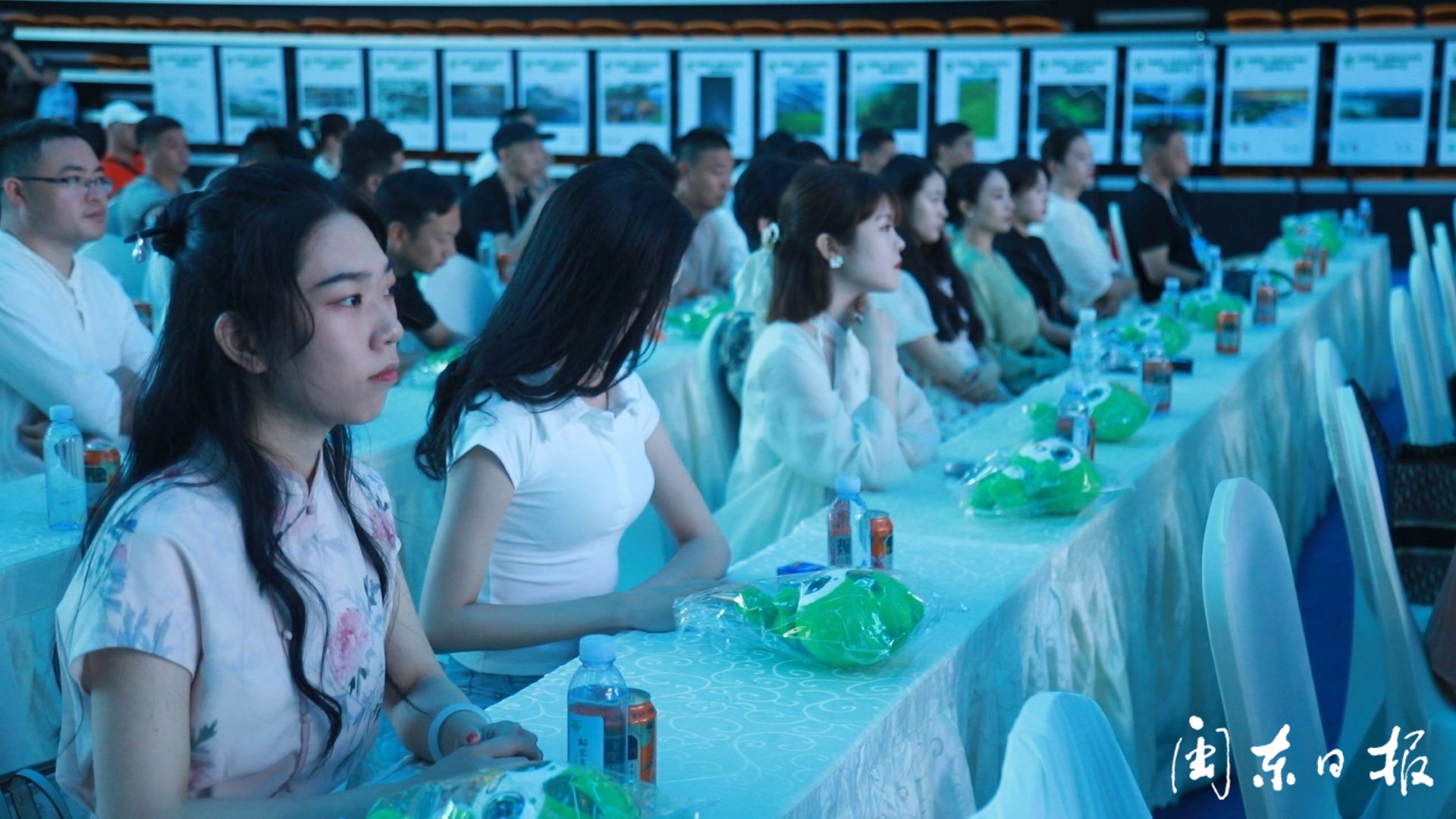 柘荣高山白茶获茶王,今年白茶茶王是柘荣白茶吗