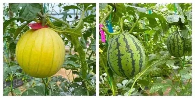 在咸宁这样玩，清凉一整个夏天