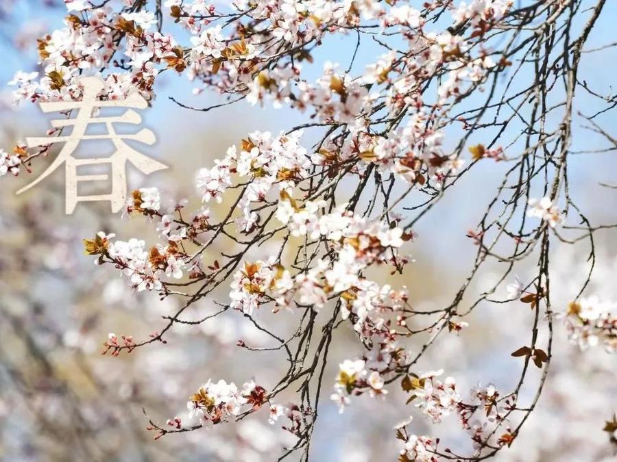 选择山东师范大学的四个原因,报考山东师范大学有几种途径