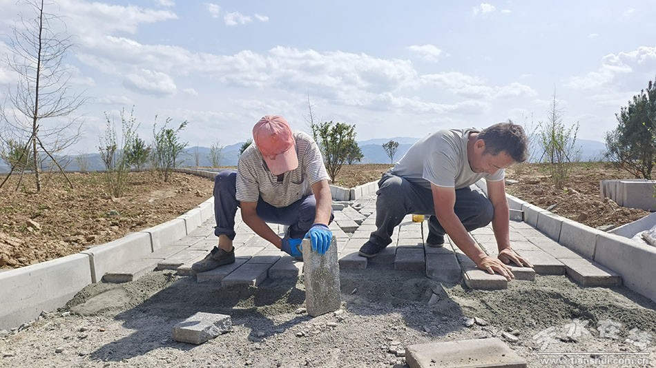 凤山镇全面推进乡村振兴,延坪镇培植特色产业助力乡村振兴
