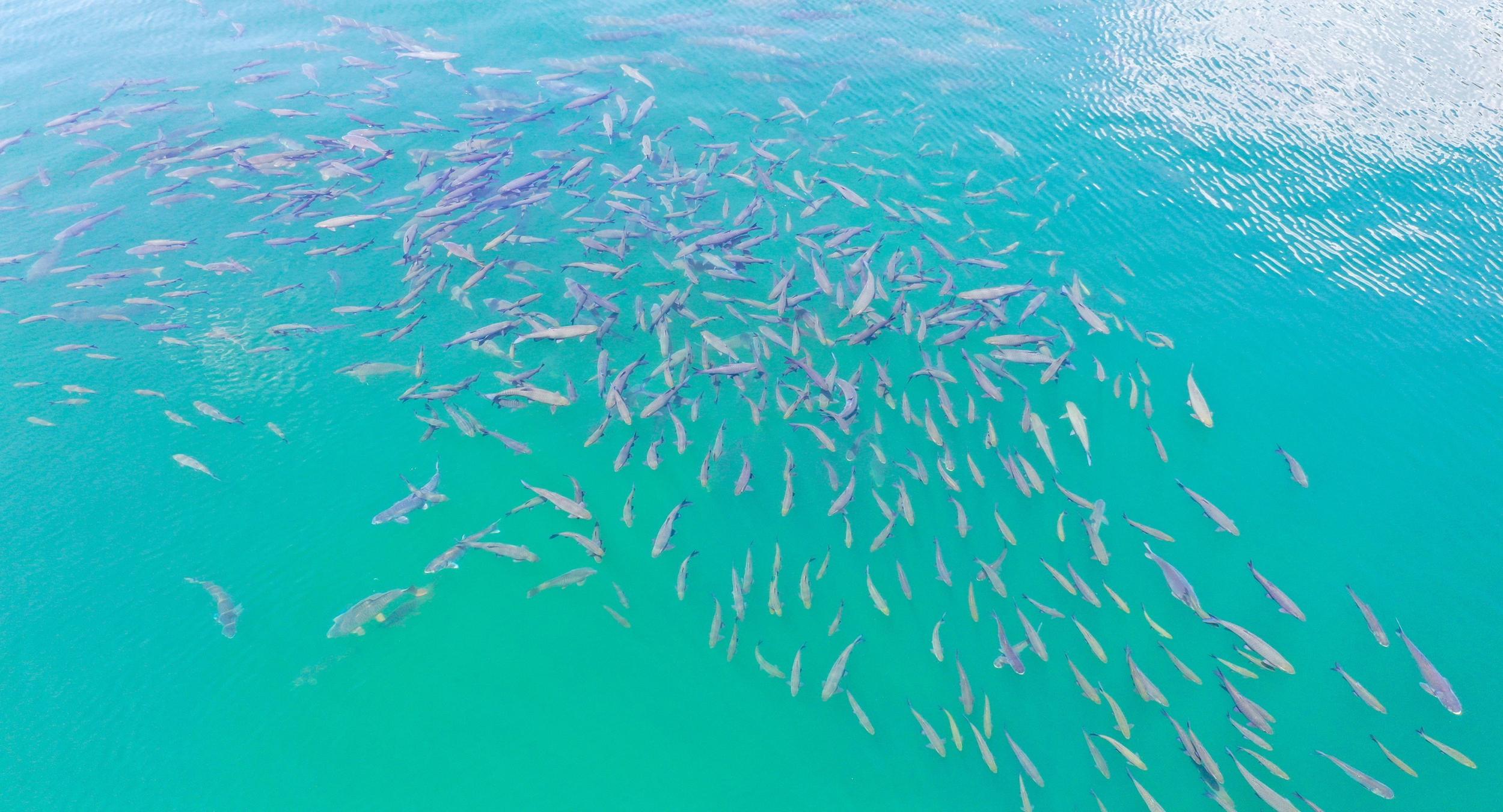 霞客行之江山多娇作品精选：云南有多美？来，跟着“新霞客”游云南（7月3日-9日）