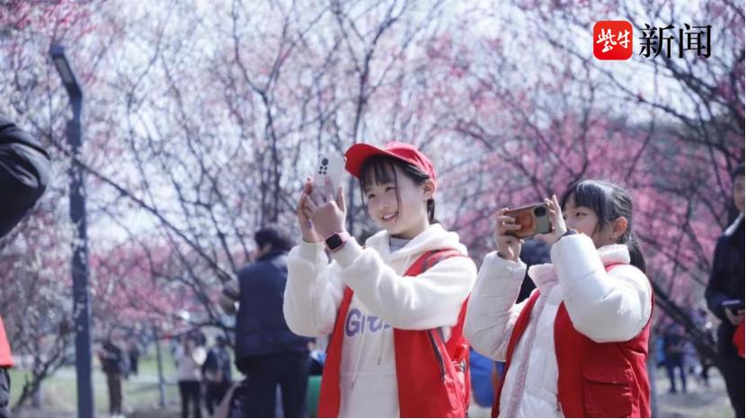 【活动报名】扬子晚报苏州小记者7月VIP会员活动正式出炉！