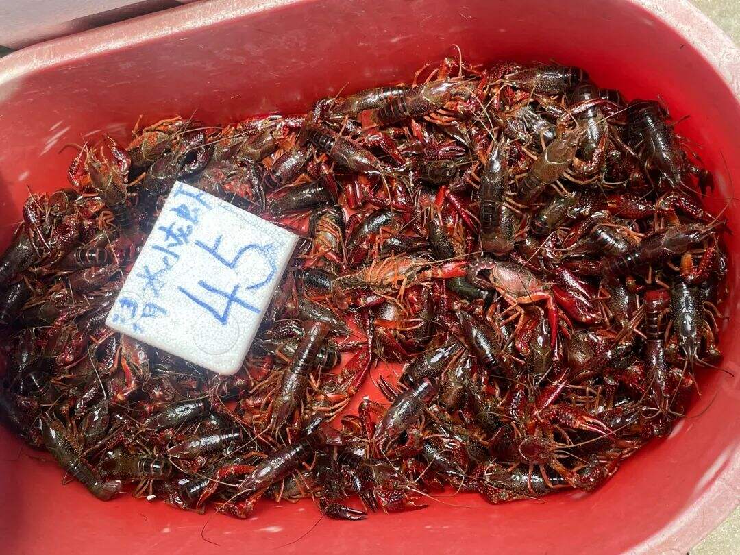 很多昆明人爱吃！夜宵界“夏日顶流”的价格或将上涨