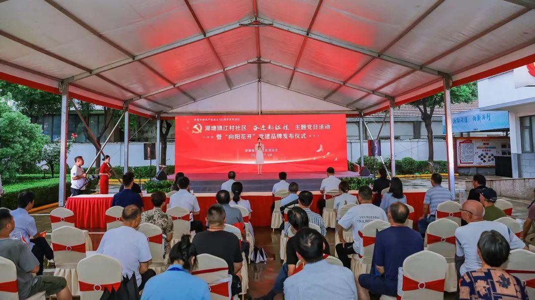 开展党建月会暨主题党日活动,村社区开展主题党日活动信息简报