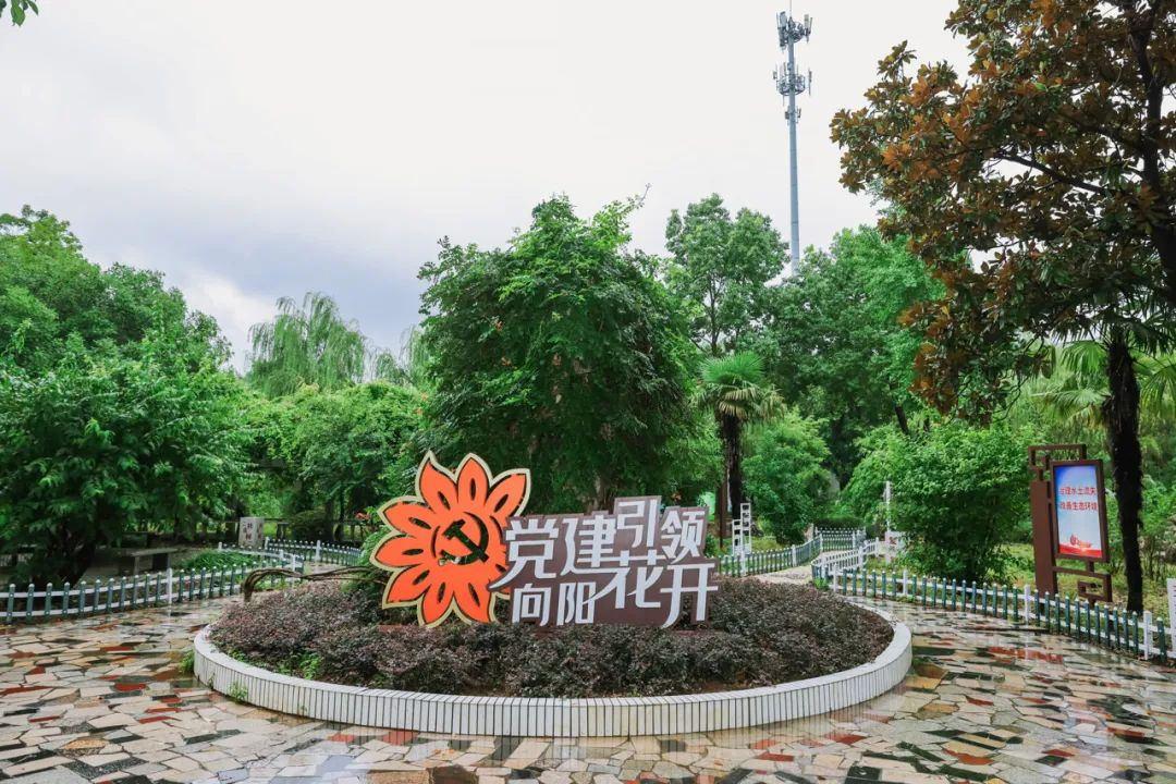 开展党建月会暨主题党日活动,村社区开展主题党日活动信息简报