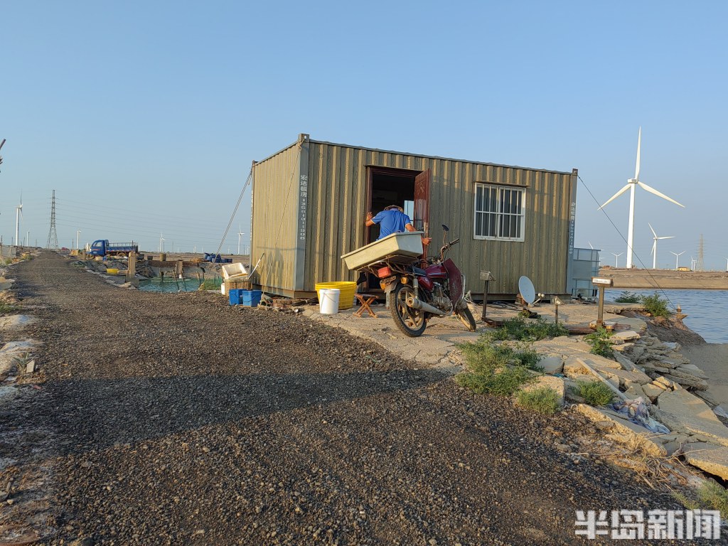 青岛虾农，跨城淘金！2000多位大拿，走南闯北；20多万斤鲜虾，每天从鳌山卫游向全国