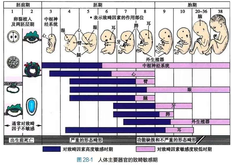 孕妈妈担心新冠,新冠孕妇37周