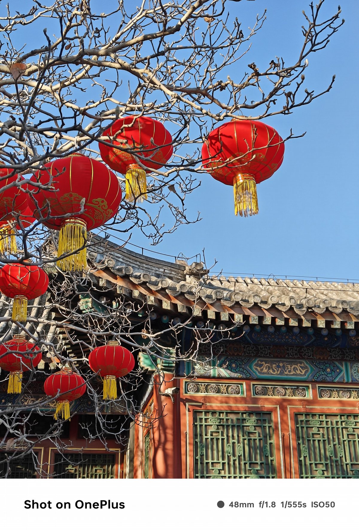 oneplus一加ace3,一加ace3