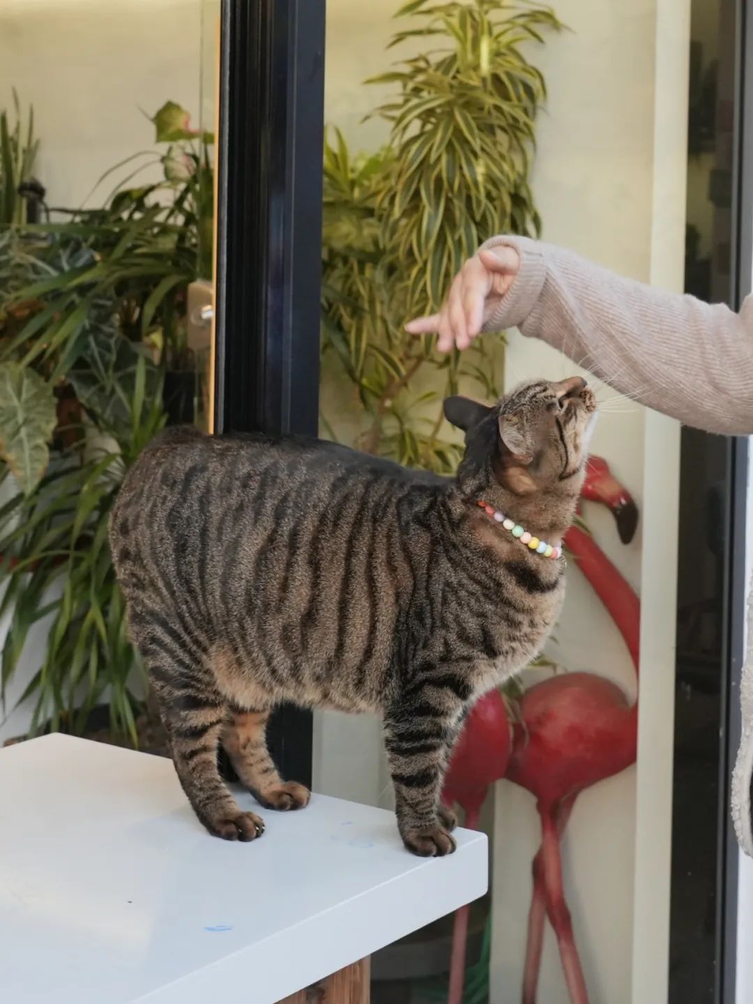 “i人”or“e人”？MBTI充电指南来袭，在华新尽情做自己！