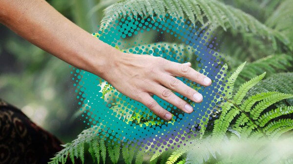 马石油年产量,马石油年度销量