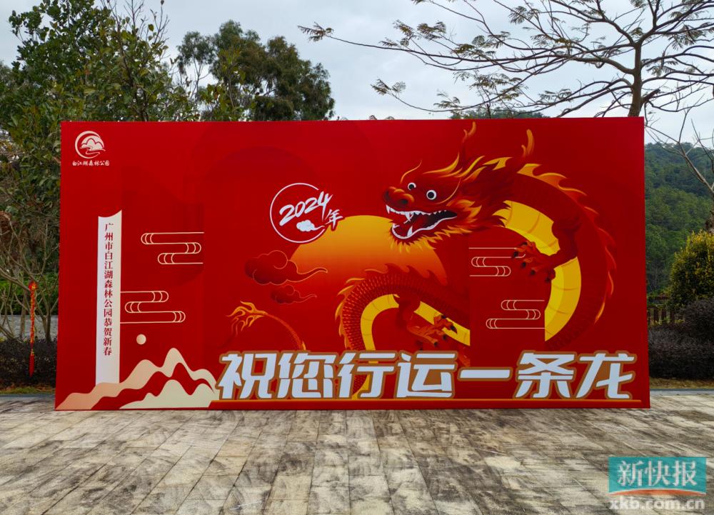 龙年抽龙签,龙年抽福签