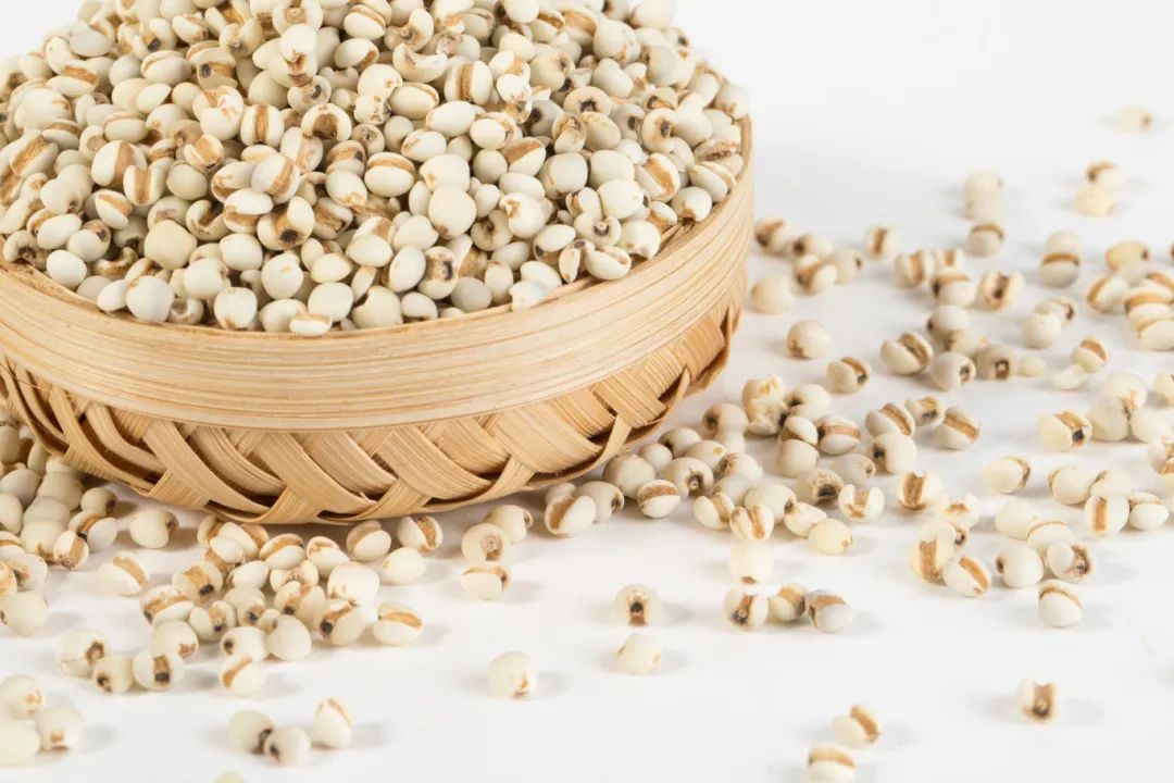 长寿养肾粥,长寿养生粥的功效与作用