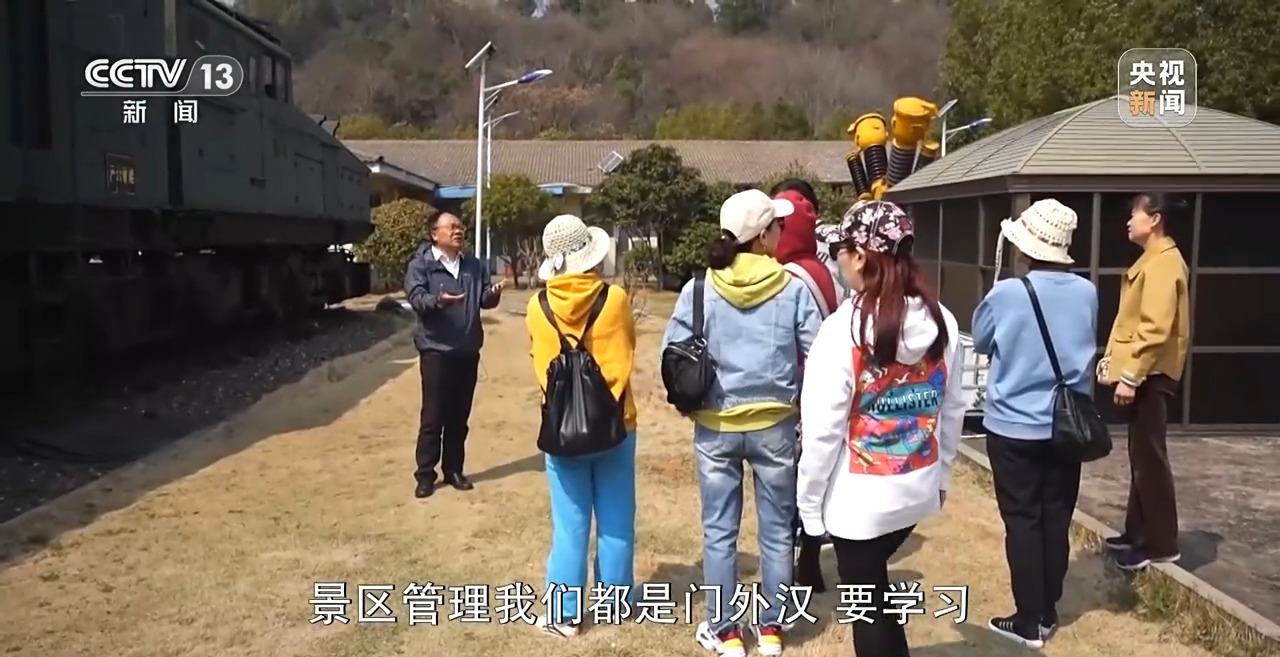 石缝种植植物,石缝种树