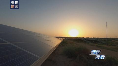 世界周刊澳洲,世界周刊的视频