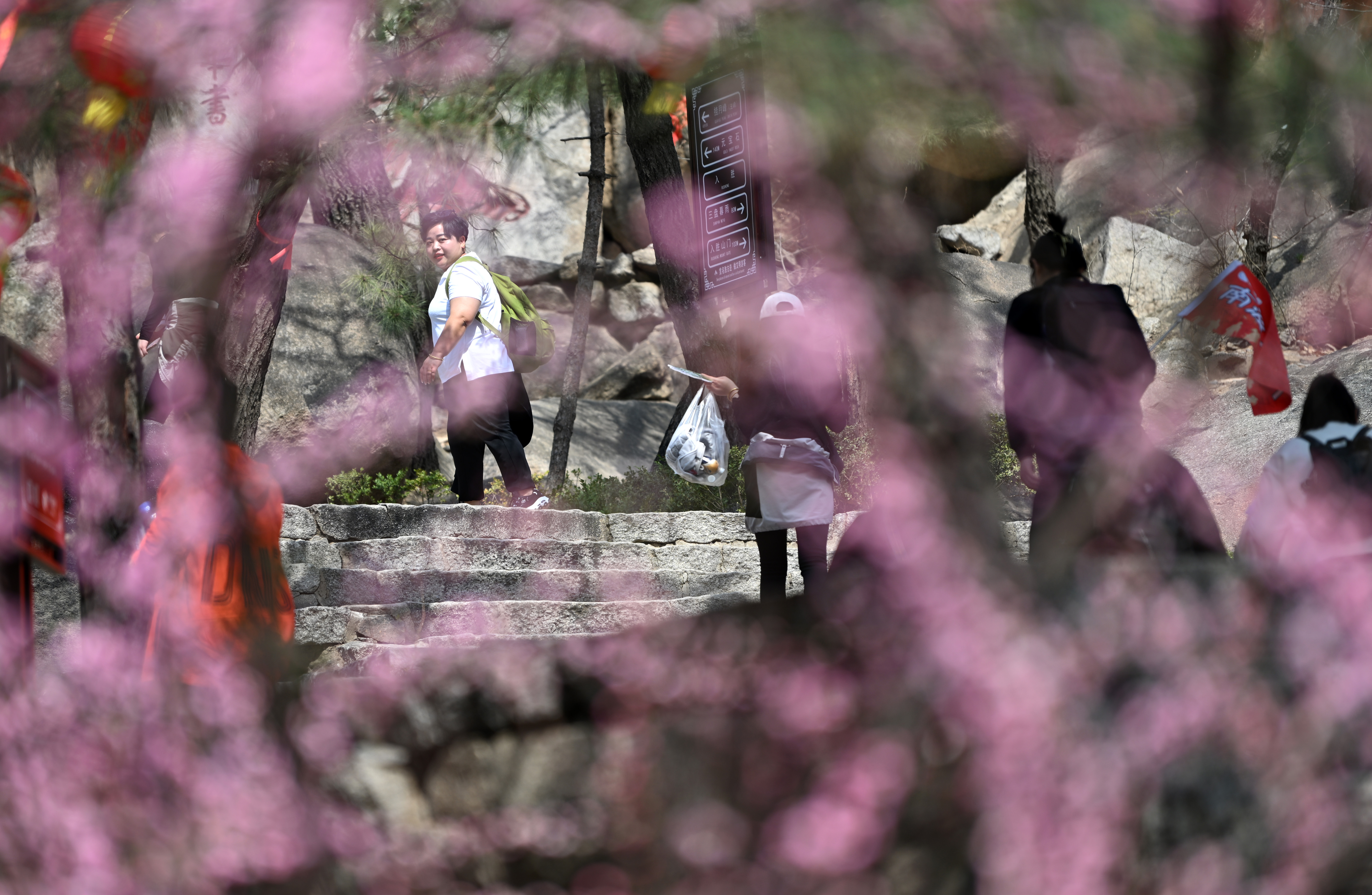 天津西青踏春,天津盘山踏青