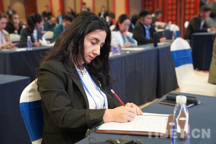 第三届中国*藏西**“环喜马拉雅”国际合作论坛新闻发布会发布《林芝倡议》