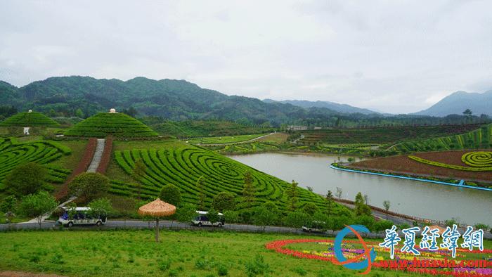 两岸媒体来湘联合采访,走进黑茶之乡湖南安化