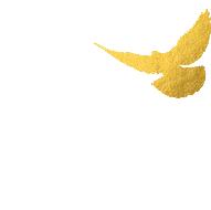 最新通知看牙补贴,马上领取种牙补贴