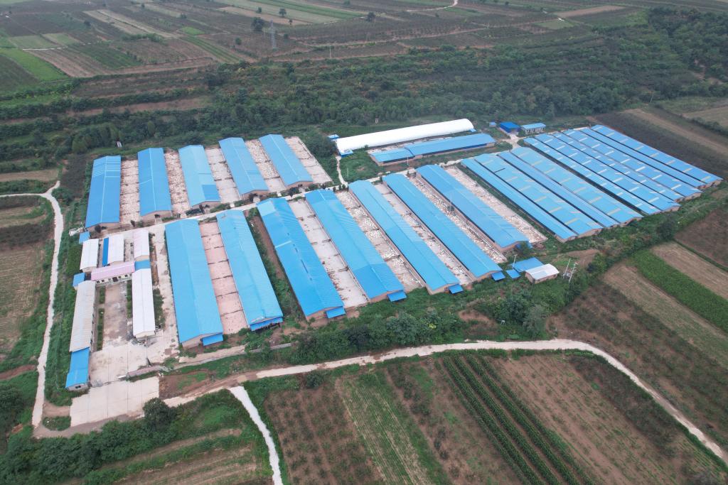 新春走基层蹲点日记,新春走基层温暖返程路