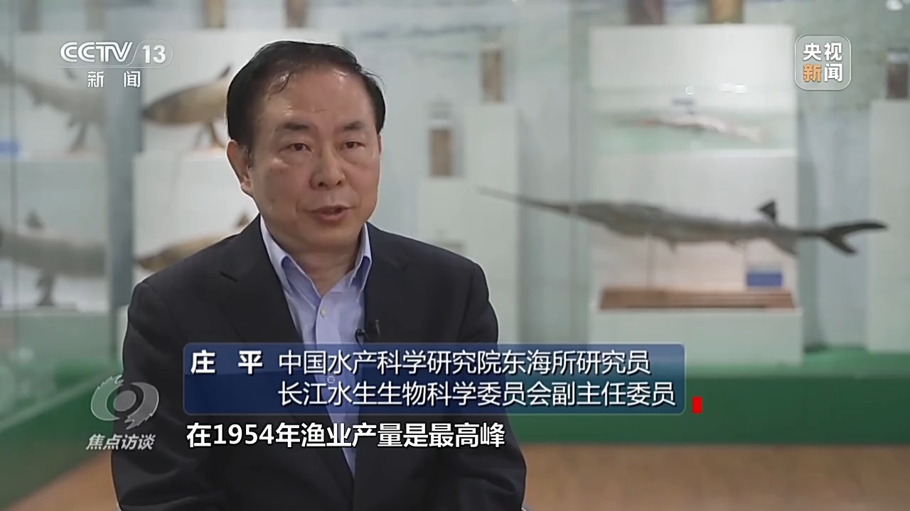 长江禁渔后鱼产卵,长江禁渔期专访