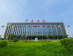 中原内配业绩,中原内配2022年一季度业绩