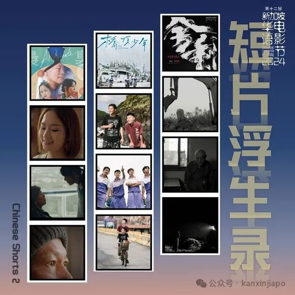 新加坡2024年新电影,2024年新加坡动画电影