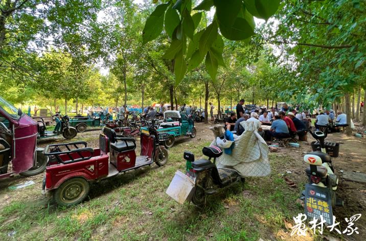 全民公益健身广场舞,乡村广场舞健身活动