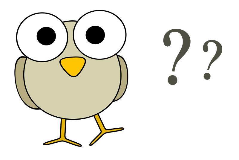 一文读懂政策解读,一文读懂什么是tmt